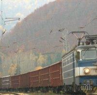 ИНЦИДЕНТ! Товарен влак отнесе три кози край Кресна 