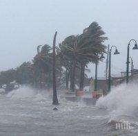 Броят на жертвите на урагана „Ирма“ в щата Флорида достигна шест души