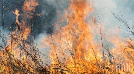 няколко месеца силистра регистрирали хиляди пожара