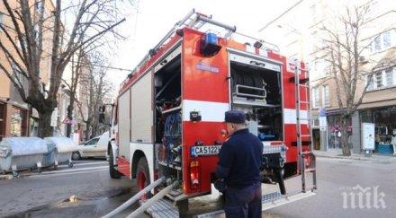 пожар култово заведение гори морето