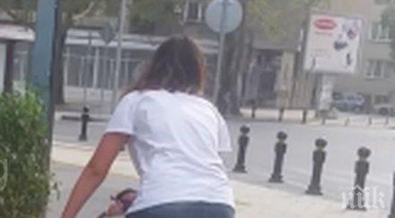 брутално хъски уби котка пловдив стопанките седят гледат снимки