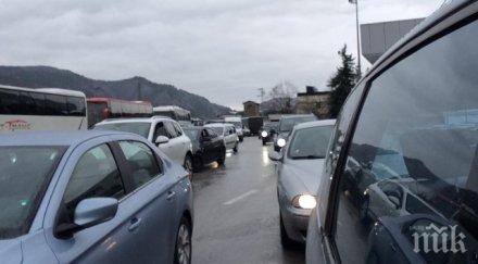 важно тапа калотина опашката