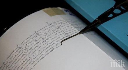 рихтер разтърси югозападната част турция