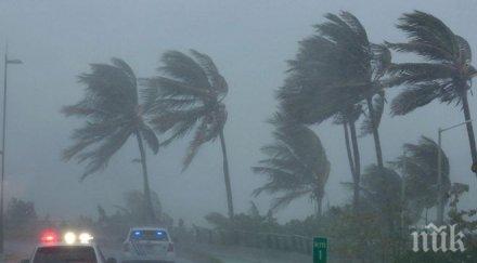 близо 270 000 души флорида без ток заради ирма