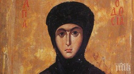 почитаме света теодора вижте имат имен ден