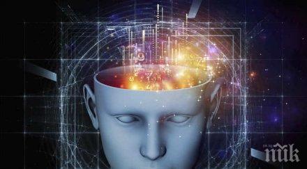 бъг мозъка трика пълно заблуждение