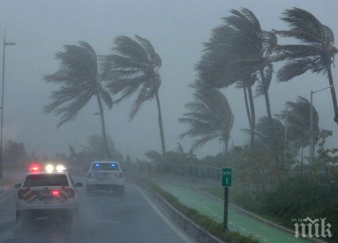 Близо 270 000 души във Флорида са без ток заради „Ирма“