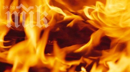 бизнесдамата румяна генчева запалената жената дянково