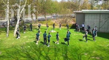 реал мадрид загря градинка мача борусия дортмунд