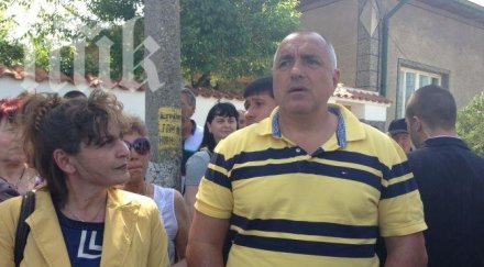 гербери празнуват цветница бойко цецо крият