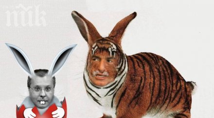 предизборните войни текат медиите българите