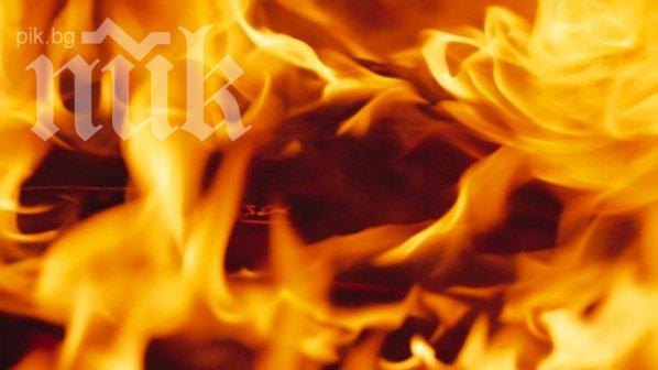 Бизнесдамата Румяна Генчева е запалената жената край Дянково