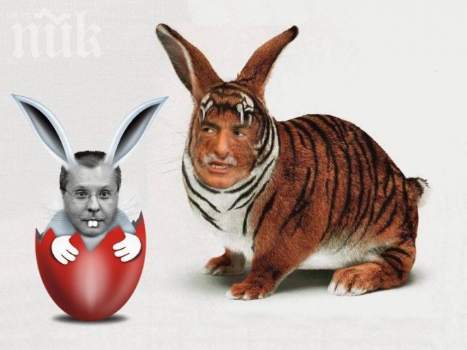 Предизборните войни текат само в медиите пред 2/3 от българите