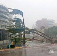 Жертвите на урагана 