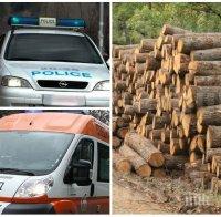 КРЪВ КРАЙ ГЪРМЕН!  Братовчед на депутат загина по време на дърводобив