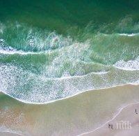 МИСТЕРИЯ! Океанът изхвърли странно същество на плажа след урагана Харви (СНИМКИ) 