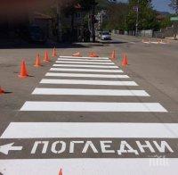 320 пешеходни пътеки са обновени в Пловдив
