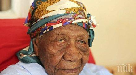 ямайка почина възрастният човек земята