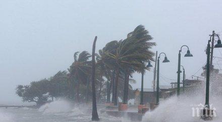 трагедия петима загинаха дома възрастни пострадал урагана ирма