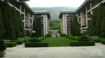 масова сеч резиденция бояна дърветата нападнати корояди