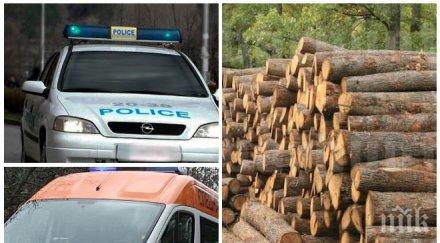 кръв гърмен братовчед депутат загина време дърводобив