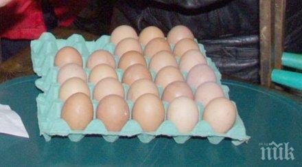 лидл българия официален коментар повод открит фипронил яйца