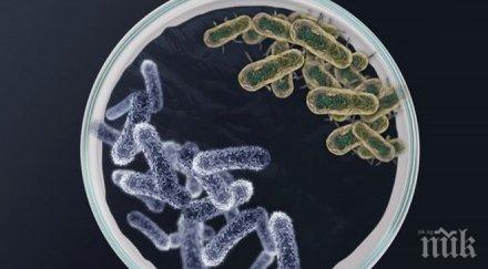 австралия учени откриха неуязвими форми живот