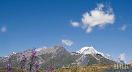 куриоз връх монблан смалил две години