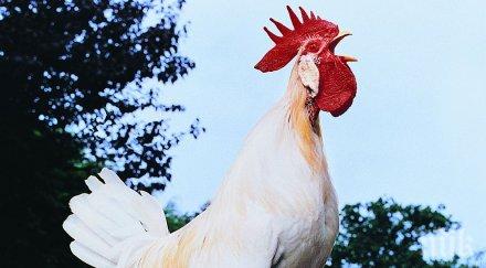 култово съсед лесбийки тормози парчето един мъж обича една жена