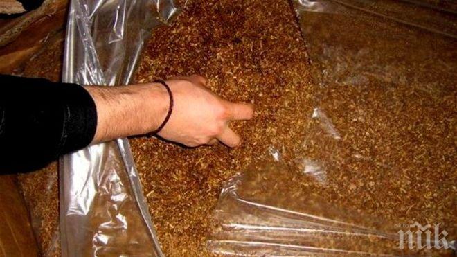 Удариха престъпна схема за производство на контрабанден тютюн