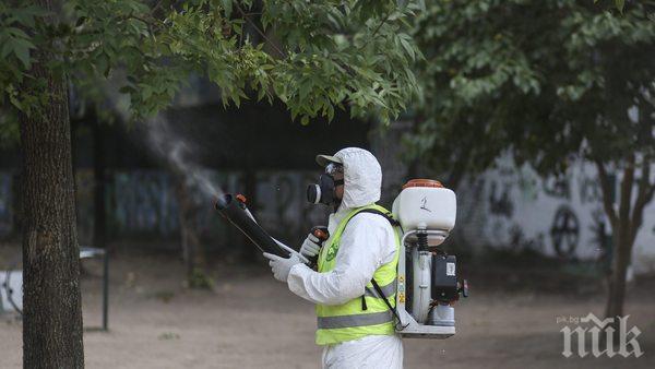 Акция комар в Пловдив, пръскат градини и паркове    