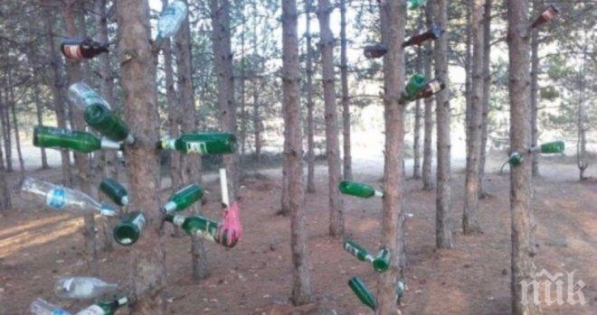 Ленински съботник по Би Ти Ви - зоват да чистим мръсотиите на дивокъмпингуващите