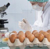 Прокурори влязоха в базата със заразени яйца в Поликраище