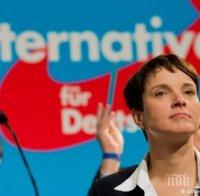 „Алтернатива за Германия“може да стане третата най-голяма партия в Бундестага