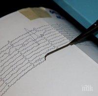 Земетресение с магнитуд 5,7 по Рихтер бе регистрирано край остров Ява
