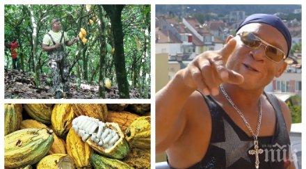 ексклузивно пик кофе бабоне уникално предложение родните политици световни гиганти храни станат зависими българия жълтите новини