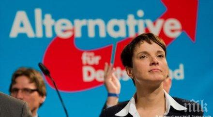 алтернатива германияможе стане третата голяма партия бундестага