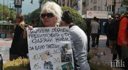 вегани протестират министерски съвет искат оставката румен порожанов