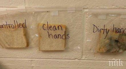 учителски експеримент показва важно мият ръцете