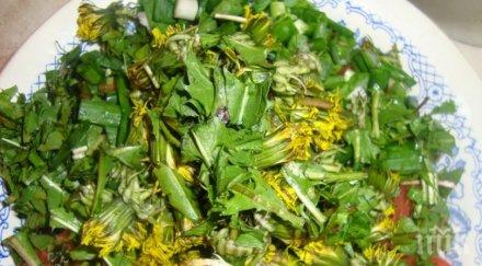 чудо корен изсмуква рака