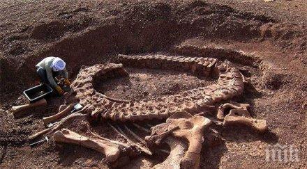 правят днк анализ костите древната крепост горна оряховец