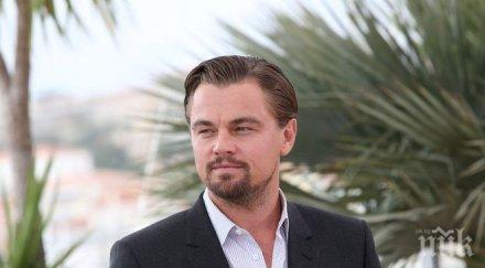 благородна кауза фондът леонардо каприо дари милиона долара екологични организации