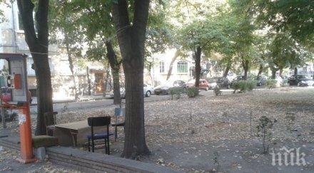 разчистиха офиса уличната проститутка пловдив