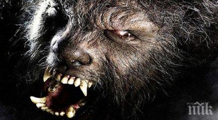 мистерия върколаци крадат кучета котки видео