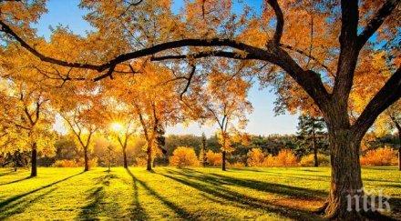 прогнозата рачев циганското лято димитровден никулден