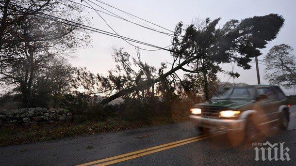 Бурите в Румъния взеха 8 жертви, порои заплашват Западните Балкани