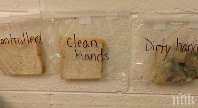 Учителски експеримент показва колко е важно да се мият ръцете 