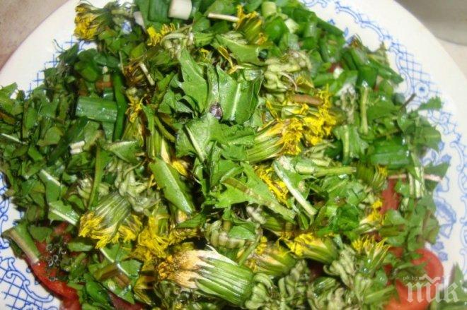 ЧУДО! Корен изсмуква рака