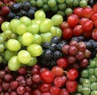 ХИТ! В Кюстендил изобретяват нов вид грозде