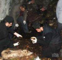 И свещениците ни емигрират заради ниското заплащане